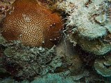 Curacao 04-12 098